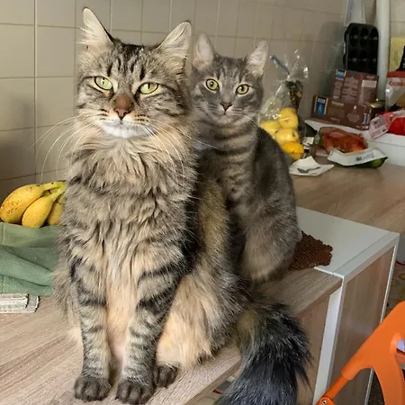 Vendégház La Stanza Di Marta