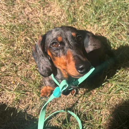 La Stanza Di Marta Pensionat Rom